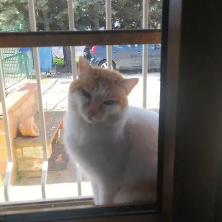 Bed & Breakfast Agribnb Casa Furnaredda 3*