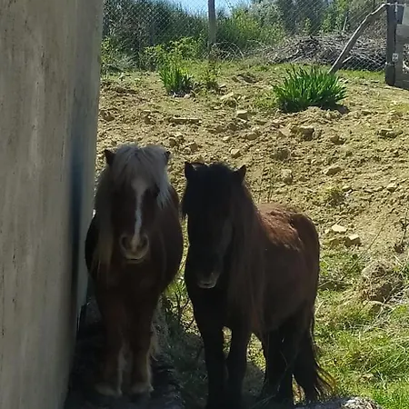 Agribnb Casa Furnaredda Bed & Breakfast Laurenzana