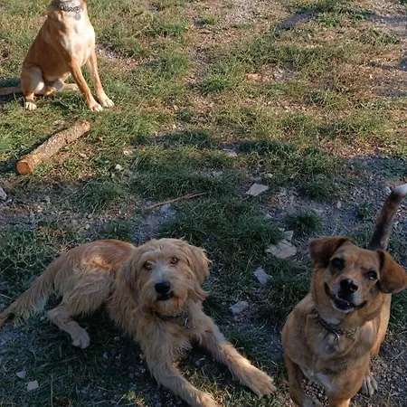 Agribnb Casa Furnaredda