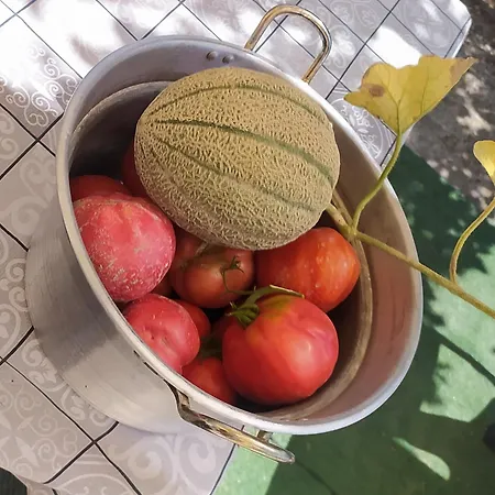 Agribnb Casa Furnaredda Nocleg ze śniadaniem