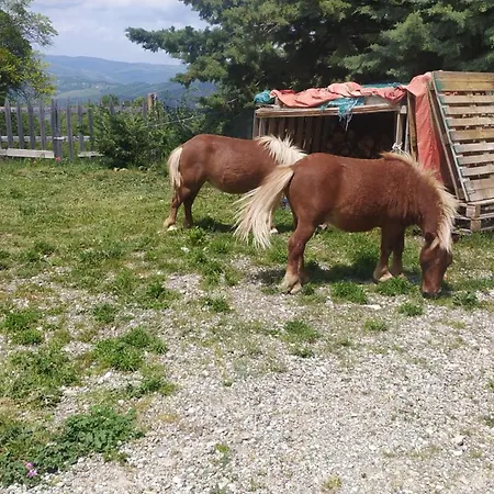 Bed & Breakfast Agribnb Casa Furnaredda