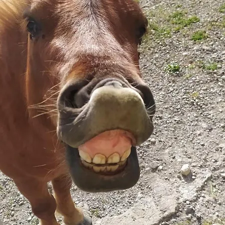 Agribnb Casa Furnaredda Nocleg ze śniadaniem 3*