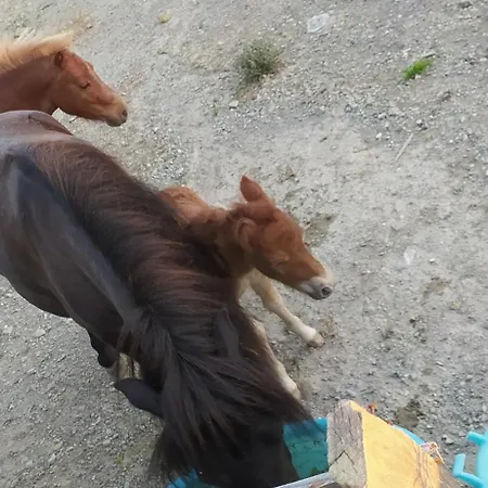 Agribnb Casa Furnaredda