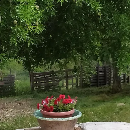 Agribnb Casa Furnaredda Bed & Breakfast Laurenzana