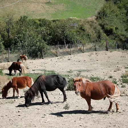 Bed & Breakfast Agribnb Casa Furnaredda Laurenzana