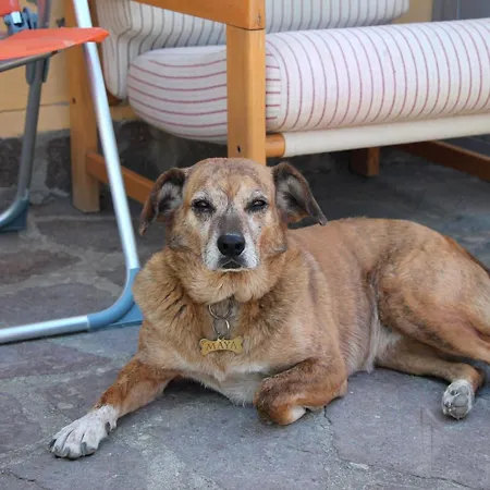 Nocleg ze śniadaniem Agribnb Casa Furnaredda 3*