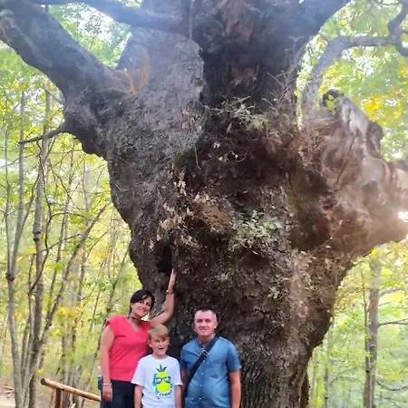 Agribnb Casa Furnaredda Laurenzana
